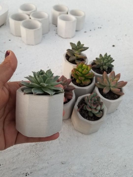 Home%20decorative%20cactus%20vase%20concrete%20made(you%20will%20got%20the%20product%20according%20to%20the%20cart%20picture)%20-%20Image%207