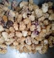 Mulberry /Shehtoot/. 