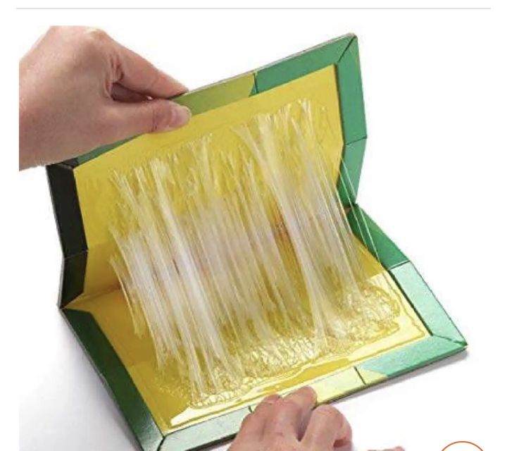 Mouse%20board%20sticky%20Glue%20Trap%20Board,%20Sticky,%20Non-Toxic%20Rodent%20Killer%20Pad,%201pc%20big%20size%20-%20Image%202