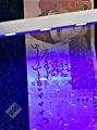 UV Lamp UV Light UV Currency Note Checker UV Nail UV LED. 
