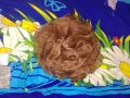 big organzahair bun clip under hijab in brown colour. 