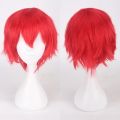 Men Women Synthetic Anime Cosplay Wigs Short Straight Hair Heat Resistance Multicolour Red White Pink Gray Brown. 
