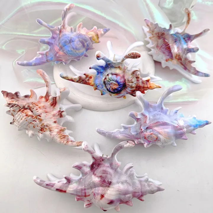 High%20Quality%20Plastic%20Wave%20Crab%20Claw%20Clips%20conch%20ocean%20design%20Shark%20Hair%20Clips%20Geometry%20High%20Ponytail%20Barrette%20Hairpin%20-%20Image%202