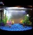 1 KG Blue Gravel Stones For Fish Tank Aquarium. 