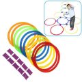 Outdoor indoor sport toy twister hopscotch game for kids. 