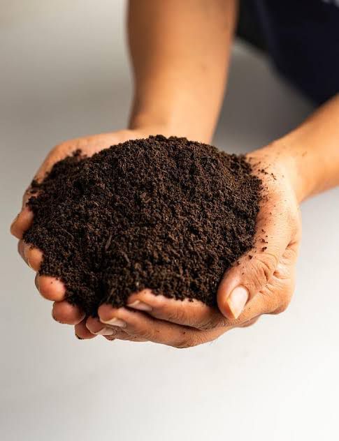 Vermicompost Fertilizer 10 kg