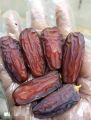 Mabroom dates 1kg. 
