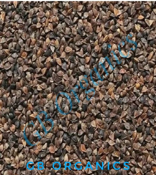 Buckwheat (Sweet)