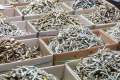 Sparts / dry fish 1kg. 