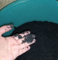 Aquarium Black Sand Decoration. 