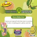 Success Fusion XXL Lollipop - 12 Assorted Flavors Premium Lollipop Candy Box for Kids Boys & Girls - Perfect Gift for Girls & Boys Birthday Parties, Events, Festivals, and Occasion. 