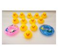 Duck Toys 12 pices Play Set. 