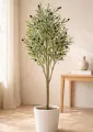 Artificial Olive Tree Plant with Pot | Indoor Home Decor Plant. 