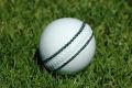 Leather Cricket Ball White Color A Grade and Seasoned Hand Stitched Practice Cricket Balls Rustic Vintage Home Decor Gifts. 