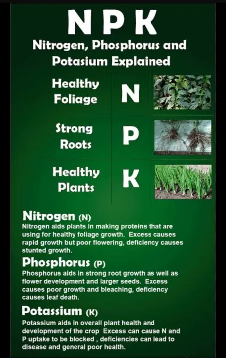 NPK%C2%A0%20Fertilizer%2010%2026%2026%20Plant%20Food%20for%20all%20purposes%C2%A0%20REPACK%2050%20gm%20Water%20Soluble%20Fertilizer%20For%20Plant%20VEGETABLES%20FLOWER%20HYDROPONICS%20and%20FRUITS%C2%A0%20Indian%20npk%20-%20Image%206