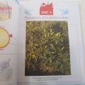 OXFORD AMAZING SCIENCE GRADE 6 REVISED EDITION BY PARVEEN ARIF ALI. 