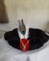 Original Chitrali cap for man handmade with Markhor and feather. 