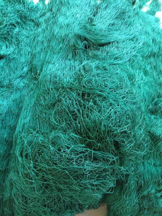 Fence Net for chicken farm/ chicken farm fence net/Farming Net