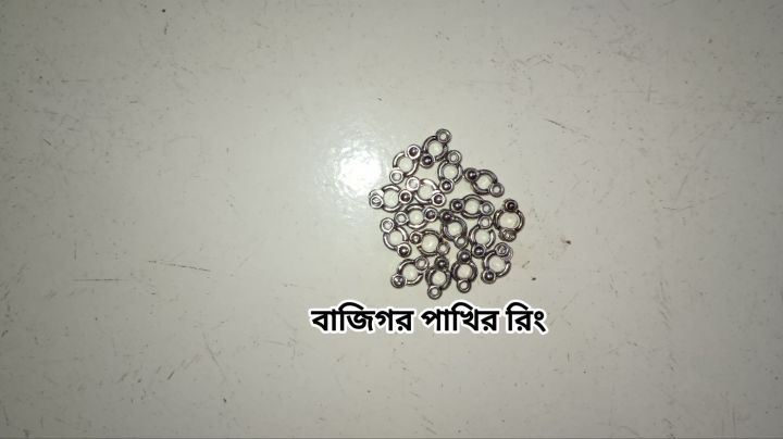 Only%20Leg%20Ring%20For%20Harness%20of%20Birds%20silver%20color-01%20pc%20-%20Image%205