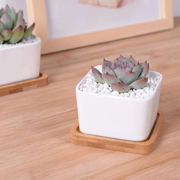 Mini%20Succulent%20Pot,%20White%20Ceramic%20Small%20Square%20Plant%20Pot,%20Cactus%20Planter%20Pot%C2%A0%20-%20Image%206