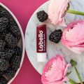 Labello BlackBerry Shine Lip Balm 4,8 g Original USA. 