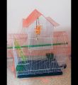 Home Shape Big Size China Premium Metal Bird Cage (2025) With All Accessories Cash On Delivery Available.
