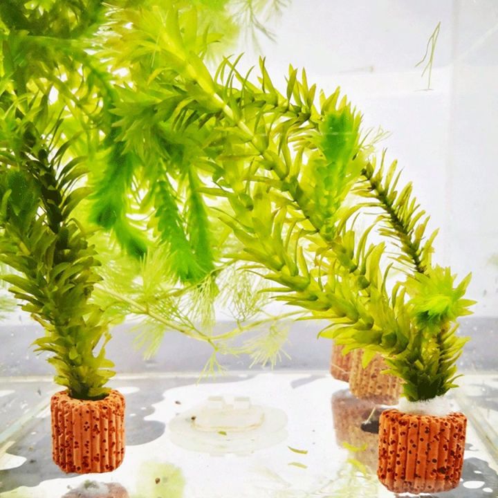 High%20%20%20Quality%20Aquarium%20Plant%20Fixation%20Rings%20-%20Breathing%20Rings%20for%20Aquatic%20Plants%20Ensure%20Stability%20and%20%20Health%20in%20Aquascaping%20-%20Image%205