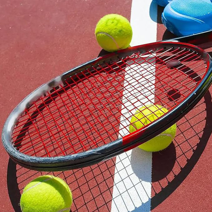 6/12pcs%20Tennis%20Balls%20with%20Mesh%20Carry%20Bag%20Practice%20Ball%20High%20Elasticity%20Pet%20Dog%20Playing%20Balls%20Outdoor%20Training%20Sports%20Competition%20-%20Image%205