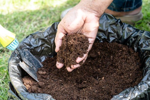 Readymix%20soil%20for%20garden/%20premium%20quality%20-%20Image%208