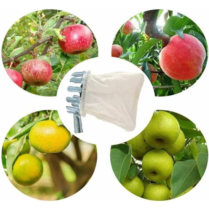 3-in-1 Fruit Harvesting Tool Set for Gardening: Berry Picker Collector ...