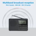 C10 Radio Portable Radio LCD Screen Alarm Clock DAB DAB+ FM Bluetooth-compatible Broadcasting Radio Supports TF Card MP3 Player. 