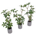 1:6 Dollhouse Miniature Potted Plant Green Leafed Plant Pot Bonsai Home Garden Decor Toy Doll House Accessories. 