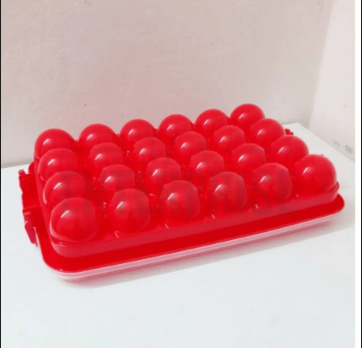 Plastic%2024%20Pieces%20Egg%20Tray%20-%20Safely%20Store%20And%20Transport%20Your%20Eggs%20With%20This%20Durable%20Tray%20-%20Image%202