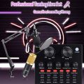 Bm 800 Condenser Microphone With V8 Sound Card & Microphone stand. 