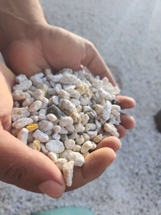 PUMICE%20STONE%20/10%20kg%20/%20FOR%20%F0%9F%8C%B5%20Cactus%20,%20succulent,%20drainage%20,%20lightweight%20concrete%20aggregate%20&%20bonsai%20soil%20mix%20-%20Image%203