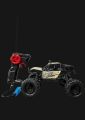 Poweful Climbing Off Road RC Car. 