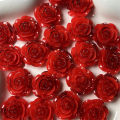 10Pcs 18mm Rose Flower Resin Accessories Cabochon Earring Hair Clip Scrapbooking Supplies DIY Jewelry Crafts Decor Accessories. 
