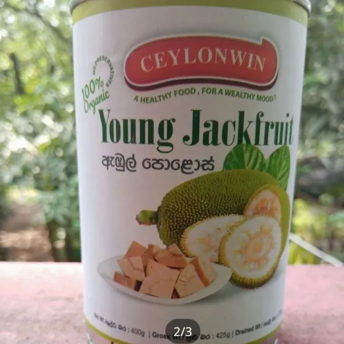 Organic Young Jackfruit in Brine