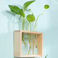 Hydroponic Plants Container with Wood Frame Transparent Glass Test Tube Vase Flower Pot Home Tabletop Bonsai Decorations Crafts. 