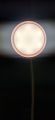 Sogo rechargeable Table lamp with 28 hrs battery timing. Touch ON/OFF button and High, medium, low lighting. 