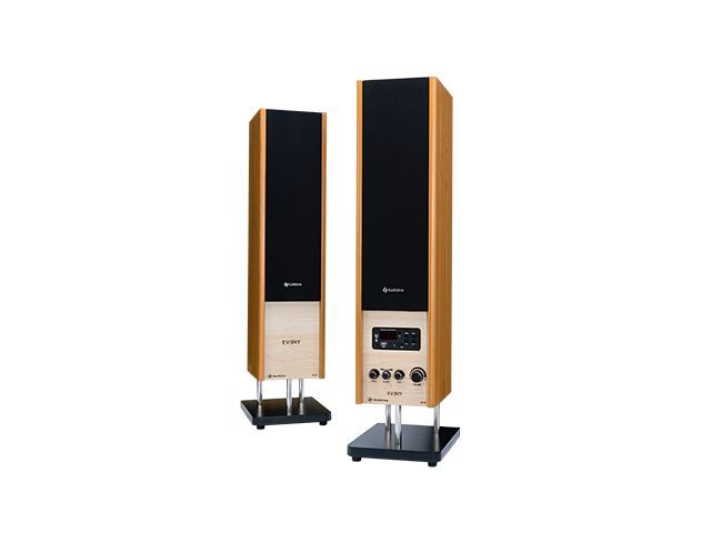 Solitine%20Every%20SE722%202.0%20Stereo%20Speaker%20%7C%2080W%20RMS%20%7C%20Bluetooth%205.0%20%7C%20Remote%20Control%20-%20Image%204