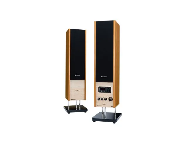 Solitine%20Every%20SE722%202.0%20Stereo%20Speaker%20%7C%2080W%20RMS%20%7C%20Bluetooth%205.0%20%7C%20Remote%20Control%20-%20Image%204