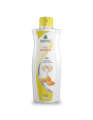 BERG Shampoo ( 1Ltr)  1000ml (All Flavors). 