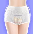 Pack of 3 Disposable period panty, Disposable Menstrual pull ups. 