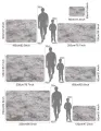 Fluffy Carpet Living Room Plush Lounge Rug in The Bedroom Floor Mat Soft Velvet Carpets For Children Kids Decoration .