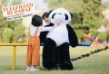 Premium Quality Huge Panda 4.6ft / Huge Size Teddy Bears / Big Teddy Bear. 