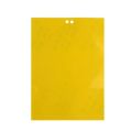 10pcs Strong Fruit Fly Traps Bugs Yellow Sticky Board Pest Control Insect Killer Two-sided Glue Paper Trap for Kill Pests. 