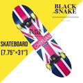 SKATEBOARD COMPLETE SET. 