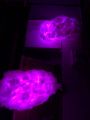 Cotton Cloud Night lamp|All colours Available RGB with Remote |. 