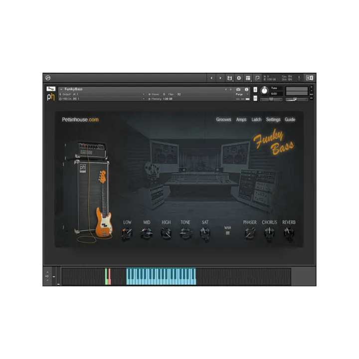 Pettinhouse%20Funky%20Bass%20Kontakt%20Library%20Native%20Instrument%20-%20Image%203